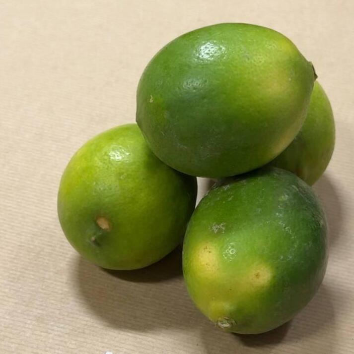 לימון מאייר