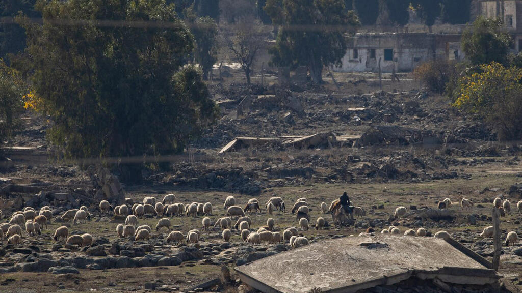 יאיר קראוס, בביקור בסוריה