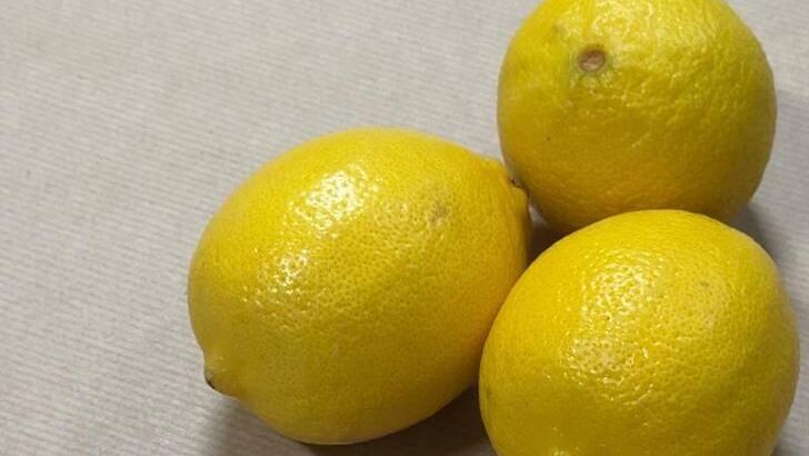 Обычный лимон (Фото: Сапир Гордо) לימון