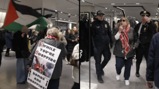 מפגינים פרו-פלסטינים פורצים לסניף זארה בניו יורק