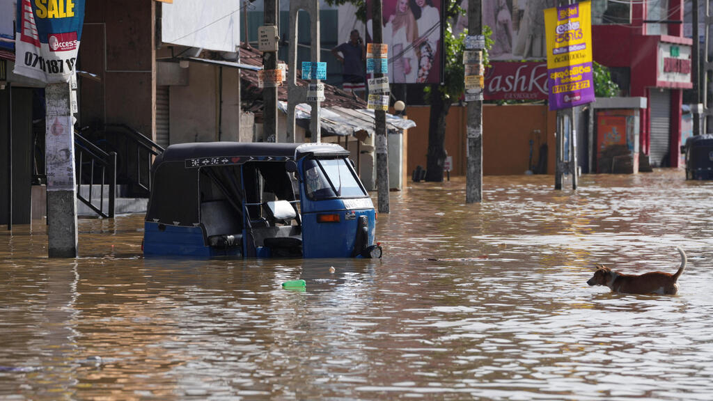 Шри-Ланка после наводнений (Фото: REUTERS/Thilina Kaluthotage) שיטפונות הצפות ב סרי לנקה