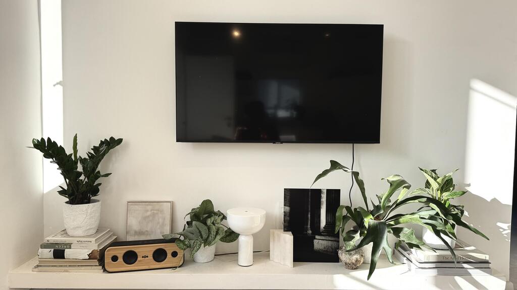 מימין - פילדנדרום בירקין, שרך קרן אייל , סקנדנס פיקטוס, זמיהקולקס