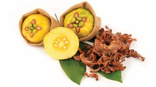 גרסיניה. גדלה בעיקר בדרום הודו ובדרום-מזרח אסיה