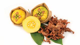 גרסיניה. גדלה בעיקר בדרום הודו ובדרום-מזרח אסיה