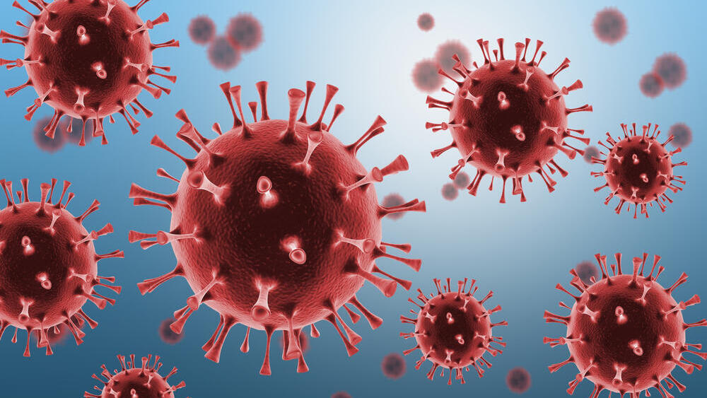 The coronavirus. mRNA vaccines were among the most important tools in curbing the pandemic (Photo: Shutterstock) נגיף הקורונה