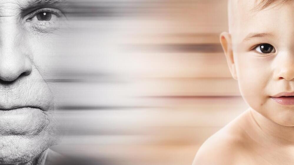 גלגול נשמות