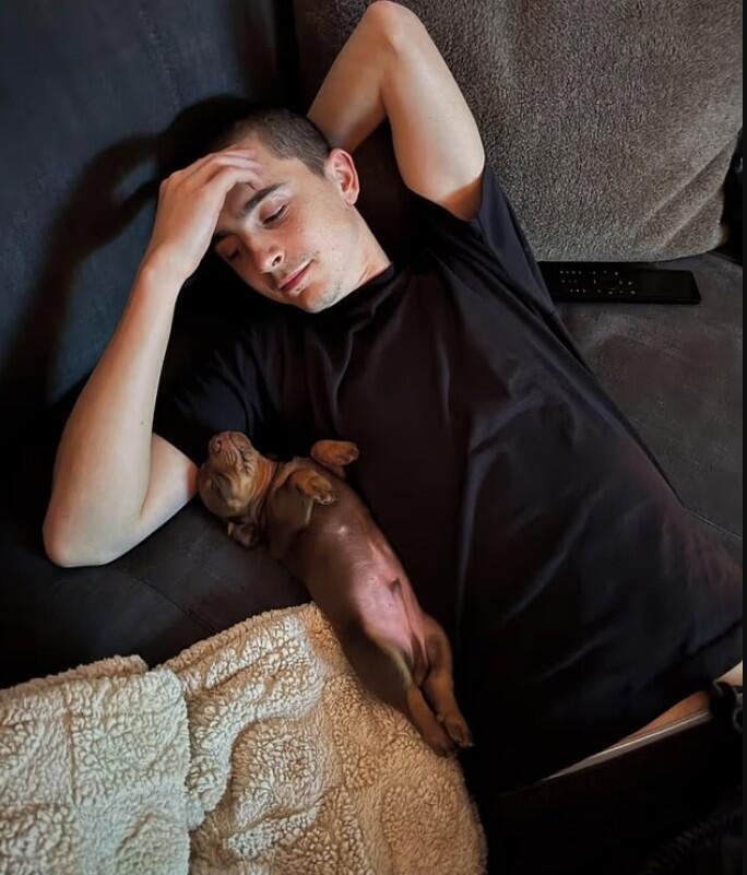 דורש ליטוף (צילום: אינסטגרם) טימותי שאלאמה