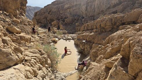 לטבול בגבים של המדבר