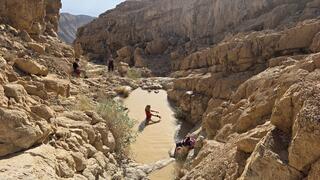 לטבול בגבים של המדבר