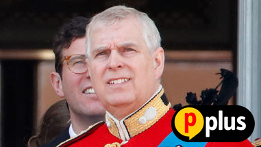 הנסיך אנדרו הנסיכה ביאטריס