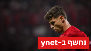 סתיו טוריאל