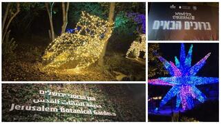 На выставке Winter Dreams II в Иерусалиме 