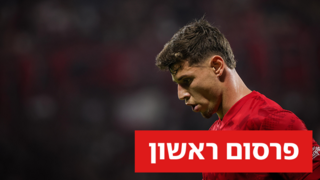 סתיו טוריאל