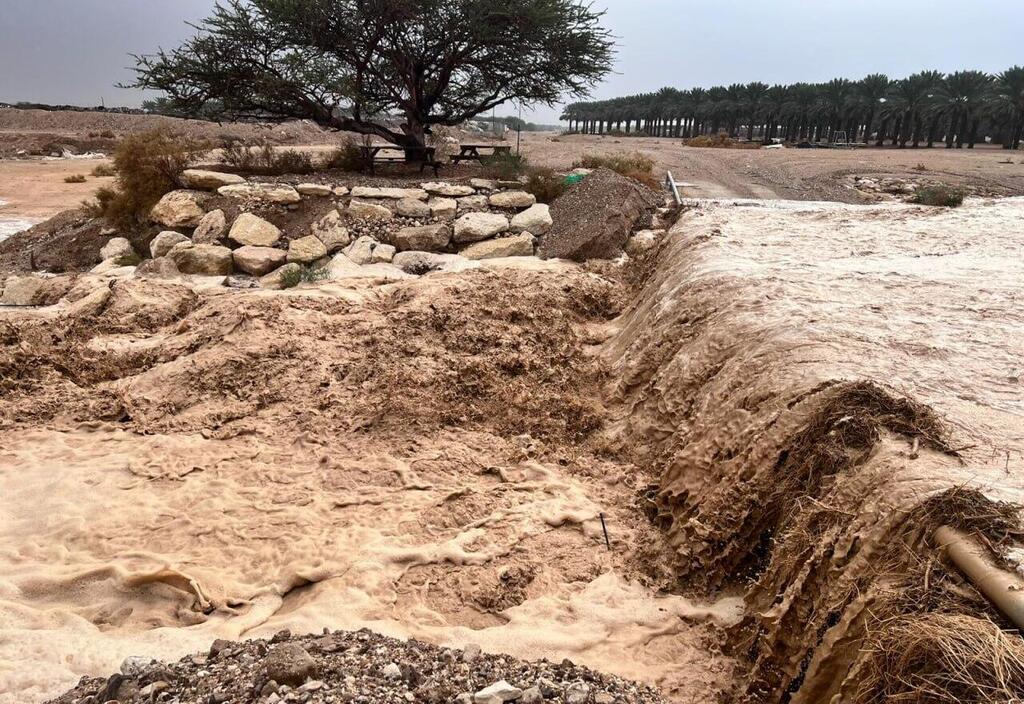 נחל עומר בערבה התיכונה