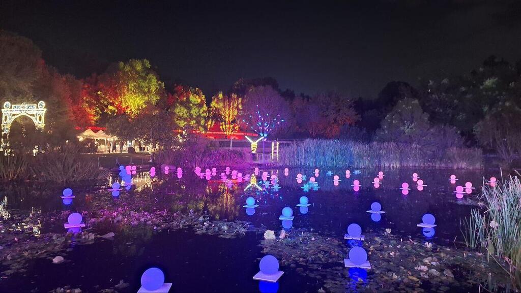 Пруд светящихся лотосов (Фото: Анастасия Тадсон) Пруд светящихся лотосов