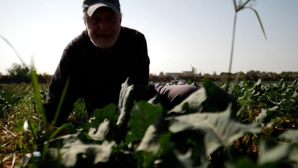 Photo: Leket Israel Leket