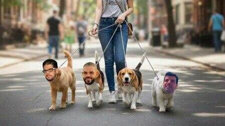 הדיל עוויס ופעילים נוספים בג'סור ניוז