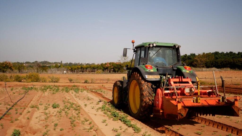 Photo: Leket Israel Leket