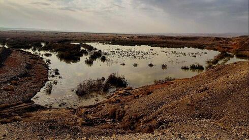  שיטפון בנחל נקרות