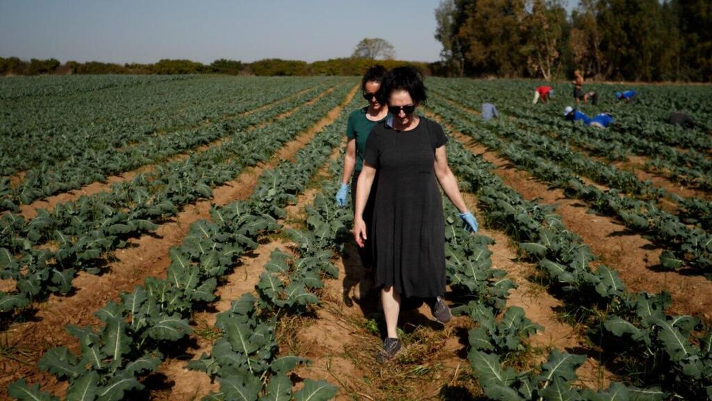 Photo: Leket Israel Leket