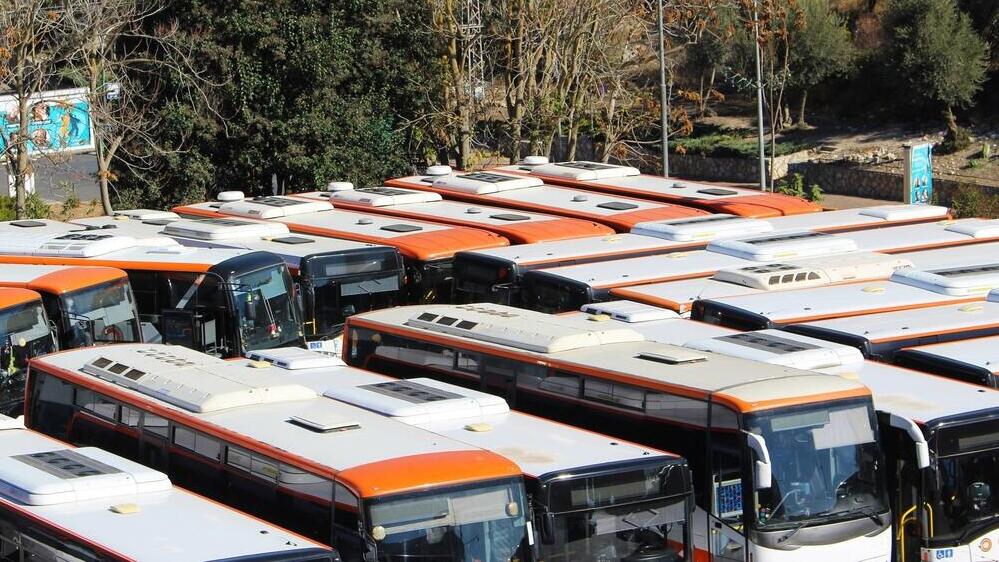 Buses in Safed: There is a shortage of drivers (Photo: Max Zalevsky/Shutterstock) אוטובוסים בצפת