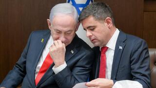 על קופים, בבונים ופוליטיקה