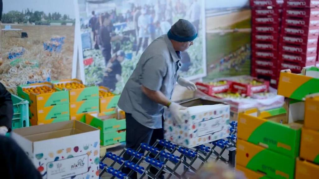 Photo: Leket Israel Leket