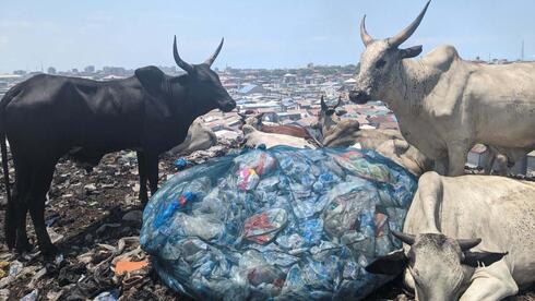 אתר הפסולת האלקטרונית בהתיישבות הענייה אגבוגבלושי שבגאנה