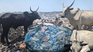 אתר הפסולת האלקטרונית בהתיישבות הענייה אגבוגבלושי שבגאנה