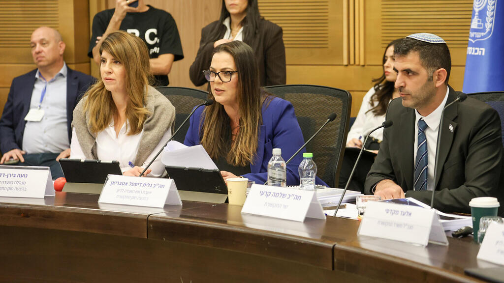 Галит Дистель-Атбарьян и Шломо Кари на заседании комиссии (Фото: Дани Шем-Тов, пресс-служба кнессета ) שלמה קרעי, גלית דיסטל אטבריאן