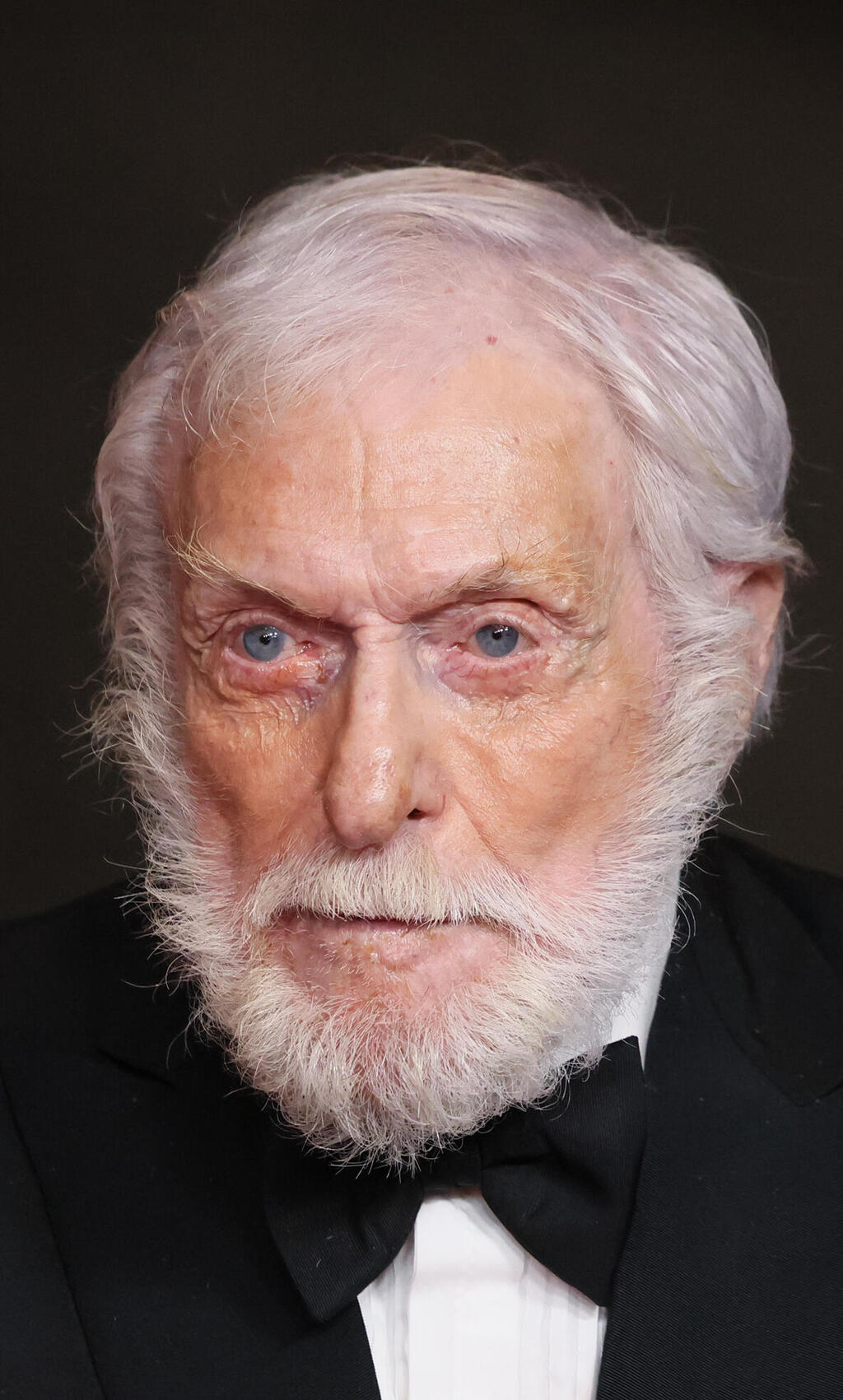 דיק ואן־דייק