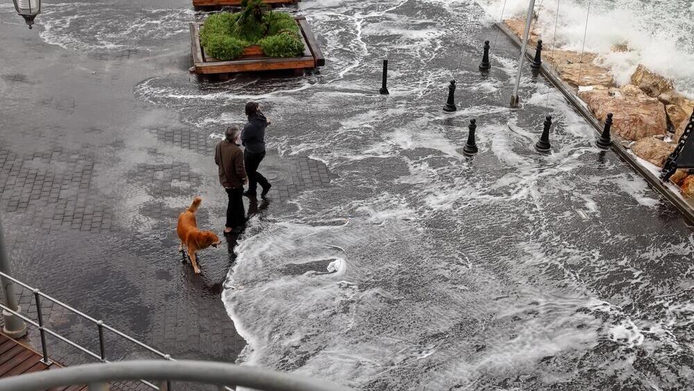 Затопление в Тель-Авиве (фото 2010 года) (Фото: Protasov AN/shutterstock) Затопление в Тель-Авиве (фото 2010 года)