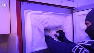 פרשיית "חוצה גבולות"