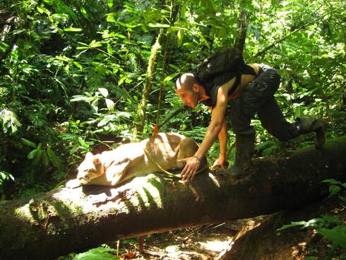 Yair Katz OBM (Photo: Courtesy of the family)