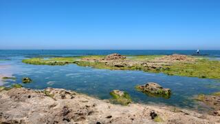 גן לאומי פלמחים