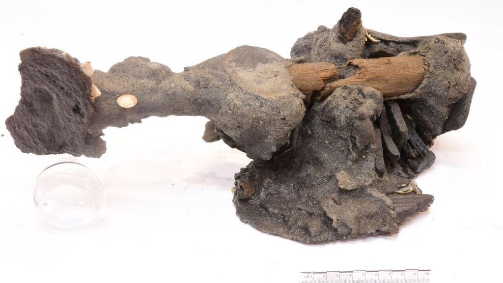 המפסלת הביזנטית לאחר הוצאה מהמים