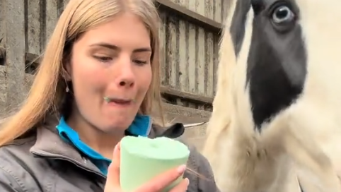 גרייסי למברט אוכלת חטיף סוסים