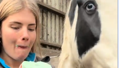 גרייסי למברט אוכלת חטיף סוסים