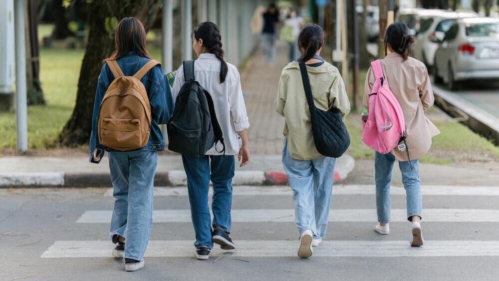 Фотоиллюстрация: Worawee Meepian/shutterstock אילוס תלמידות