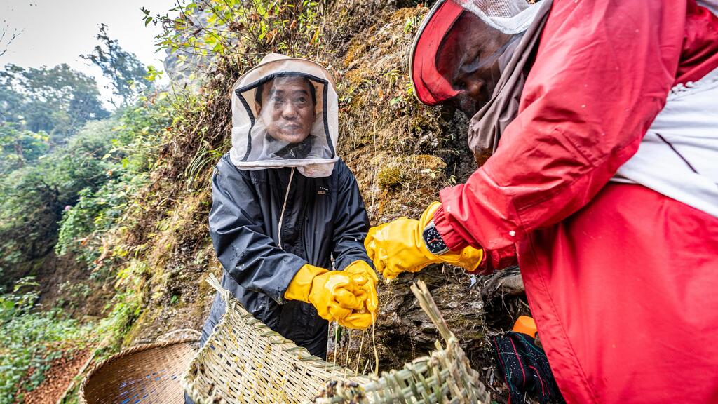 'The tradition is fading away' (Photo: Limor Zadok) המסע בעקבות ציידי הדבש