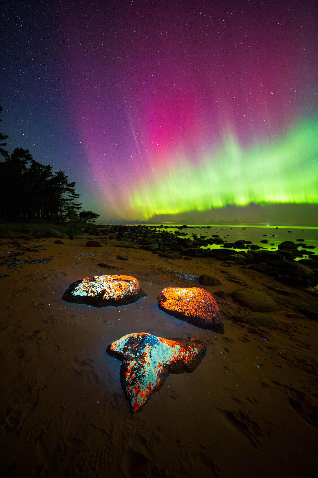Neon Nightfall – Turisalu, Estonia (Andres Papp / The 2025 Northern Lights photographer of the year) צילומי הזוהר הצפוני היפים בעולם