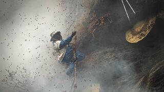 המסע בעקבות ציידי הדבש