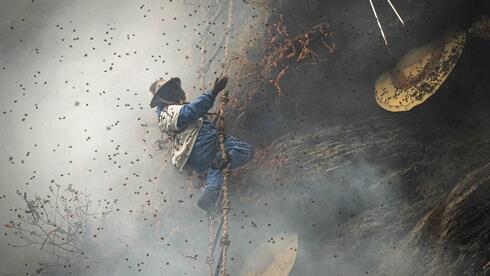 המסע בעקבות ציידי הדבש