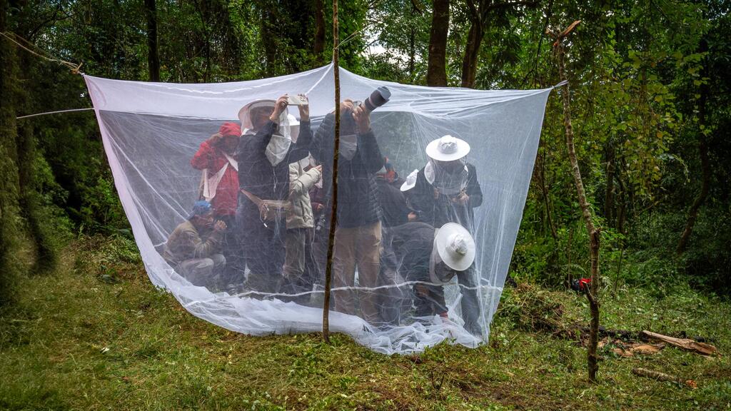 Tourists came to shoot photos (Photo: Limor Zadok) המסע בעקבות ציידי הדבש