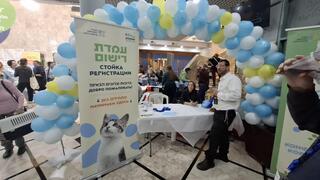 На встрече любителей кошек и представителей мэрии 