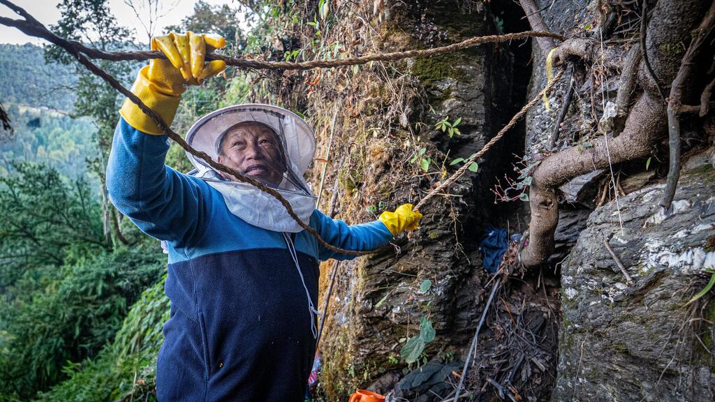 Grueling work in harsh conditions (Photo: Limor Zadok) המסע בעקבות ציידי הדבש