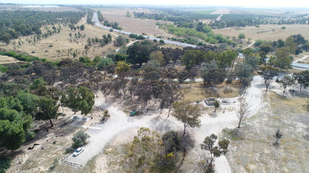 Renewing Be'eri forest (Photo: Camal Alian/KKL-JNF Photo Archive) Be'eri Forest