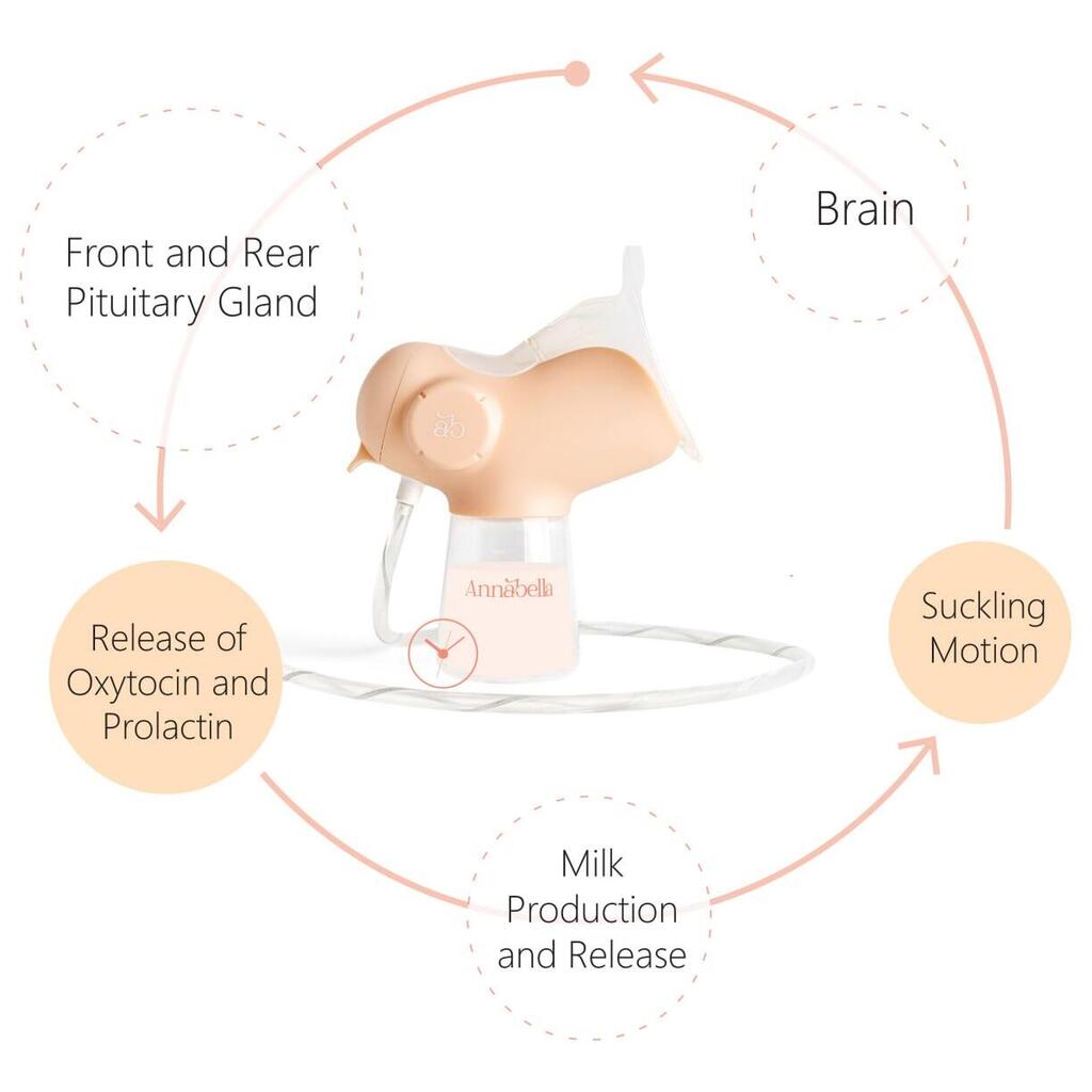 Shown to extract on average 50 percent more milk (Illustration: Annabella PR) Annabella 6