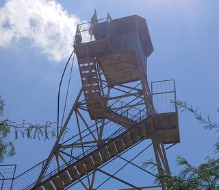 Beeri Forest Watchover