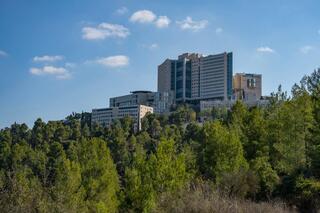 בית החולים הדסה עין כרם